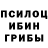 Псилоцибиновые грибы мухоморы Nils Hammarsten
