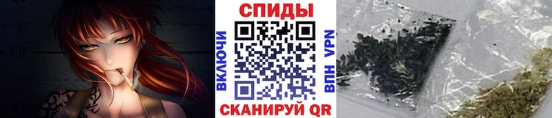 Купить закладки  Елизово  Бутират буратино 