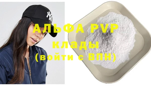 сатива Инсар