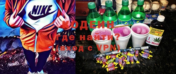 сатива Инсар