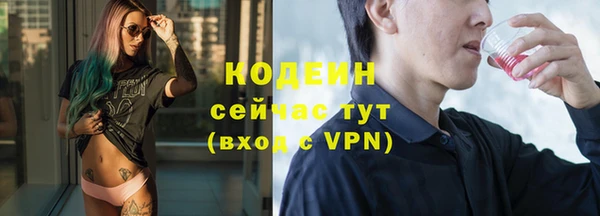 сатива Инсар