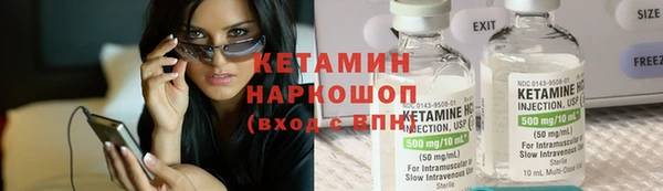 сатива Инсар