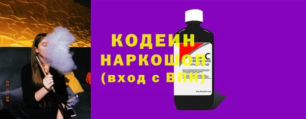 сатива Инсар