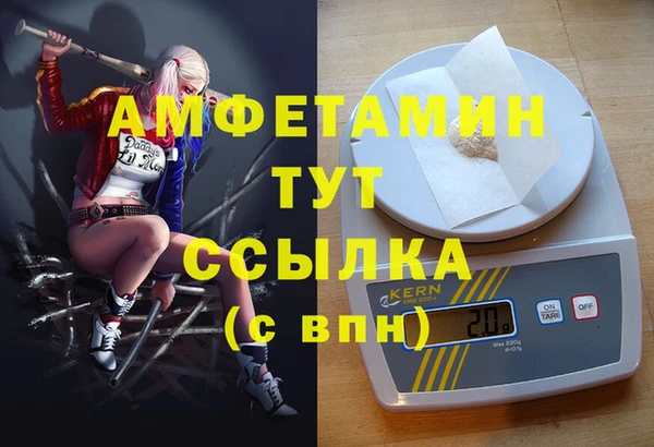 сатива Инсар