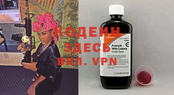 сатива Инсар